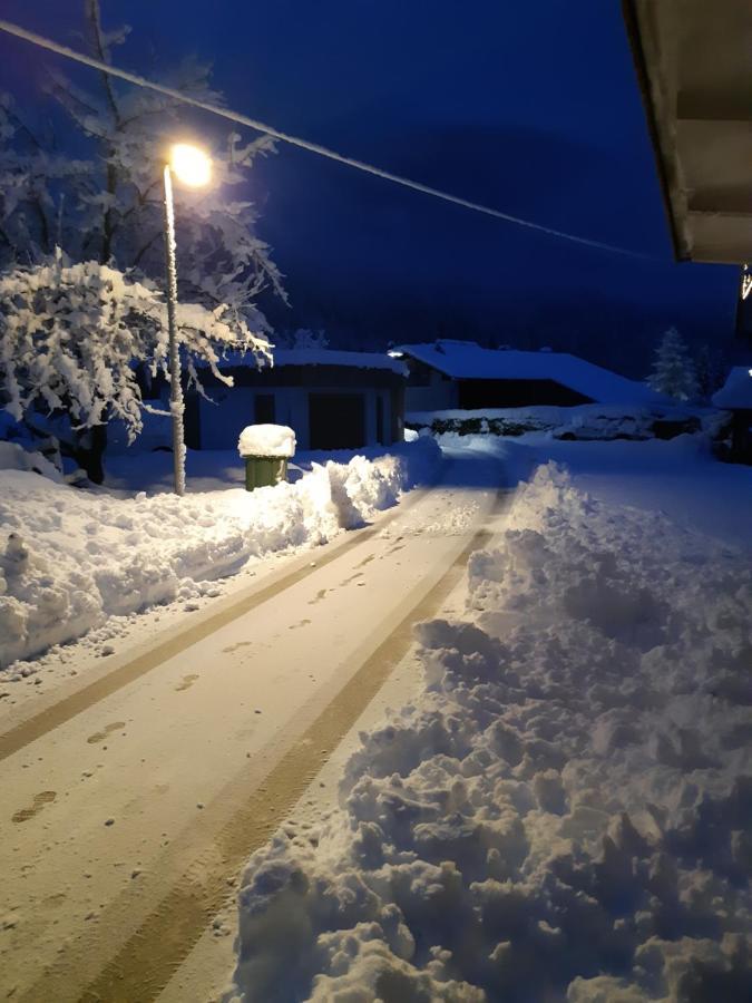 Апартаменты Alpska Roza Краньска Гора Экстерьер фото