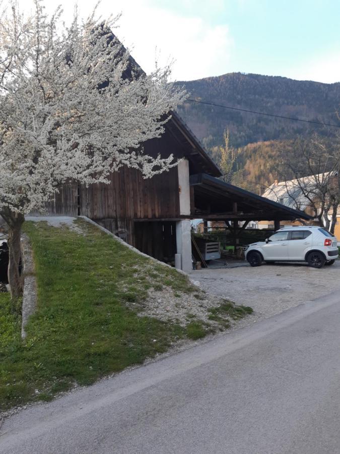 Апартаменты Alpska Roza Краньска Гора Экстерьер фото
