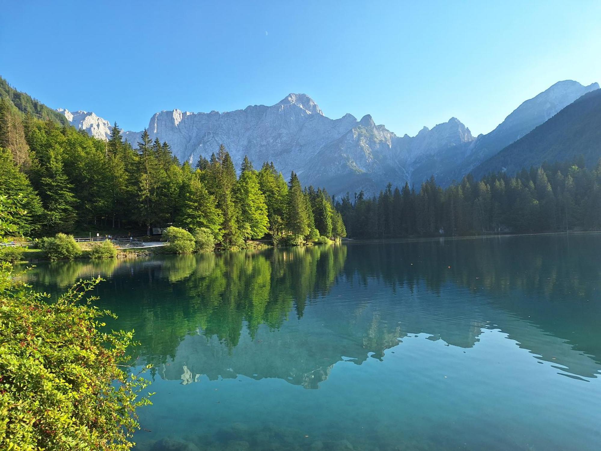 Апартаменты Alpska Roza Краньска Гора Экстерьер фото