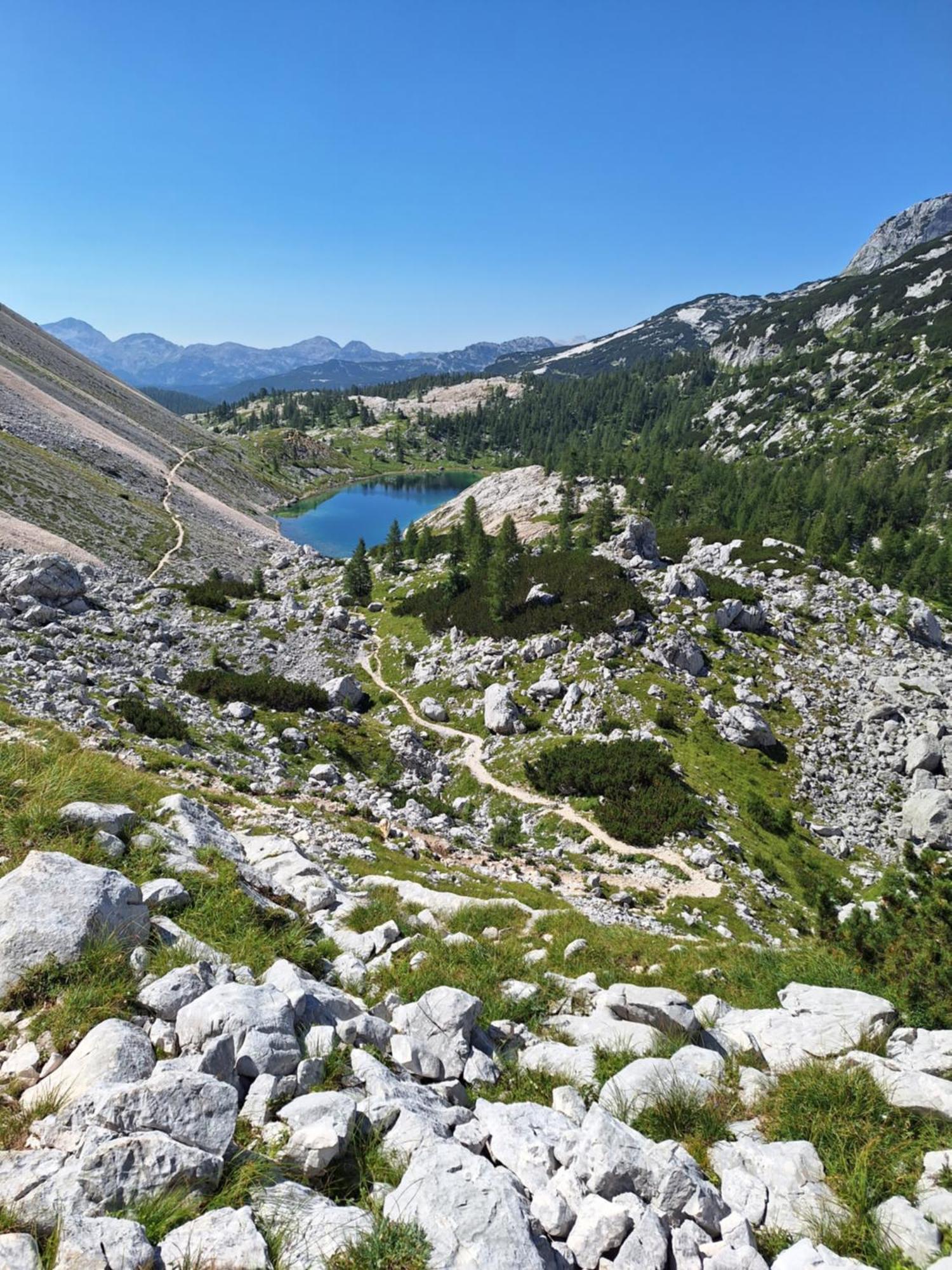 Апартаменты Alpska Roza Краньска Гора Экстерьер фото